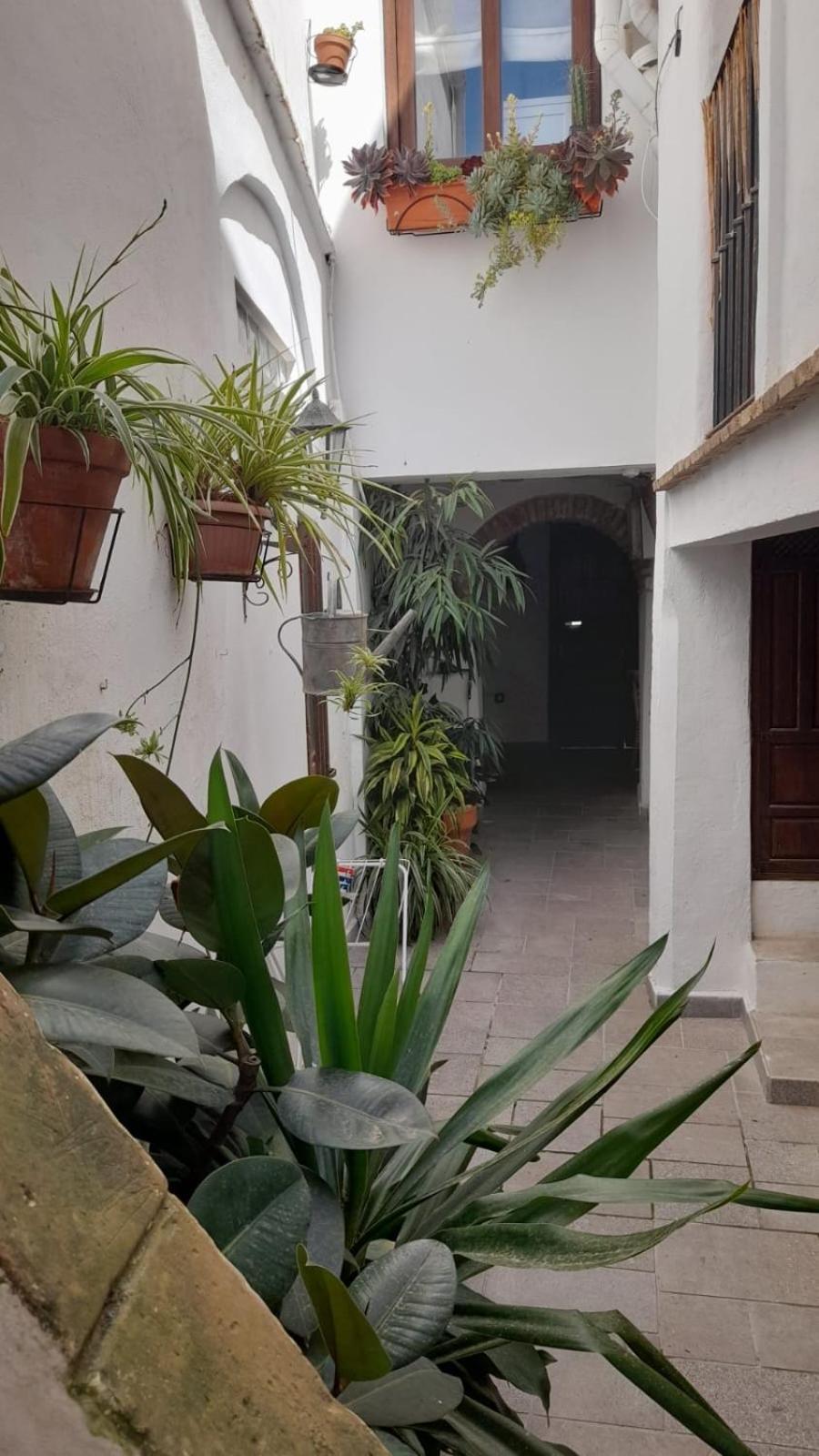 Apartamento En El Casco Historico Tarifa Eksteriør bilde